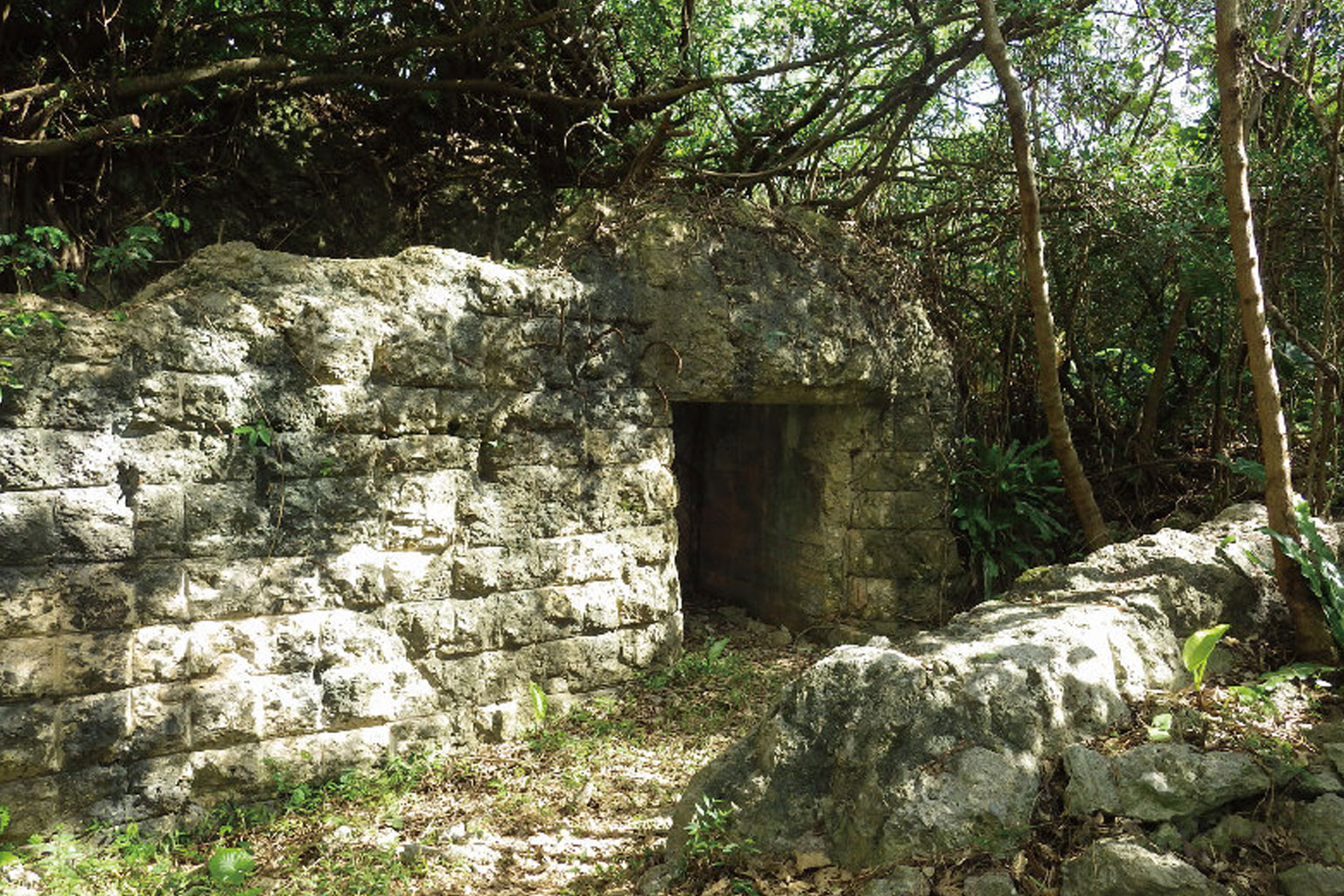 陸軍中飛行場戦闘指揮所跡画像