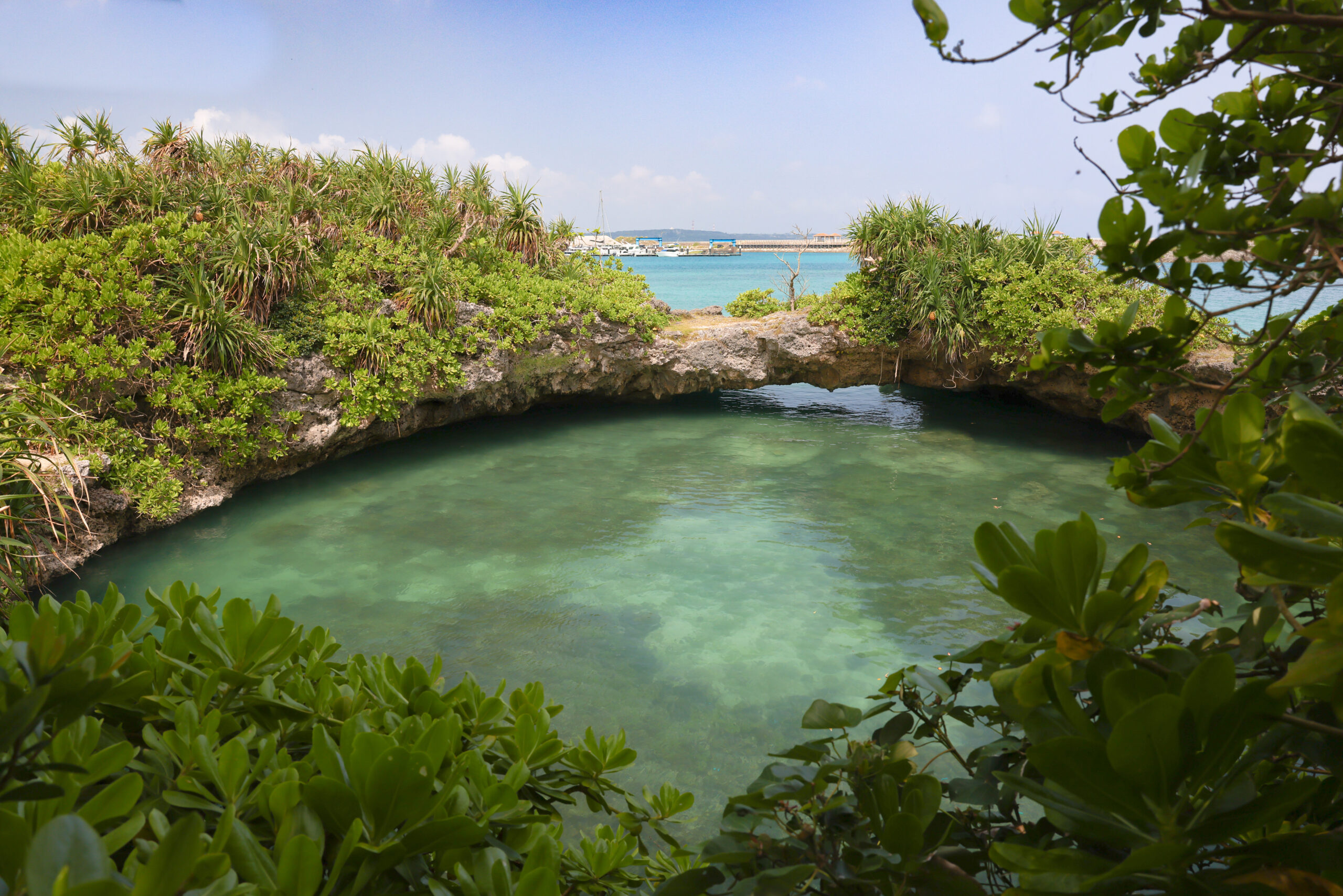 けもの道の奥に隠された神秘的なピキャズの池