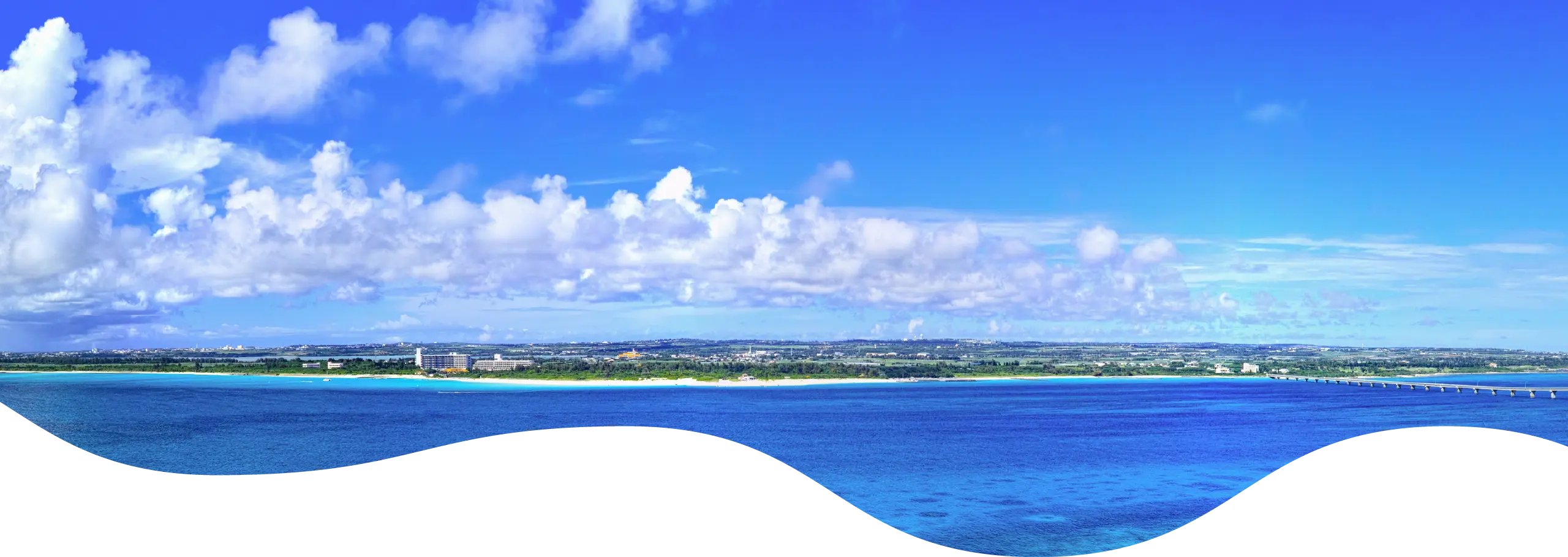 背景