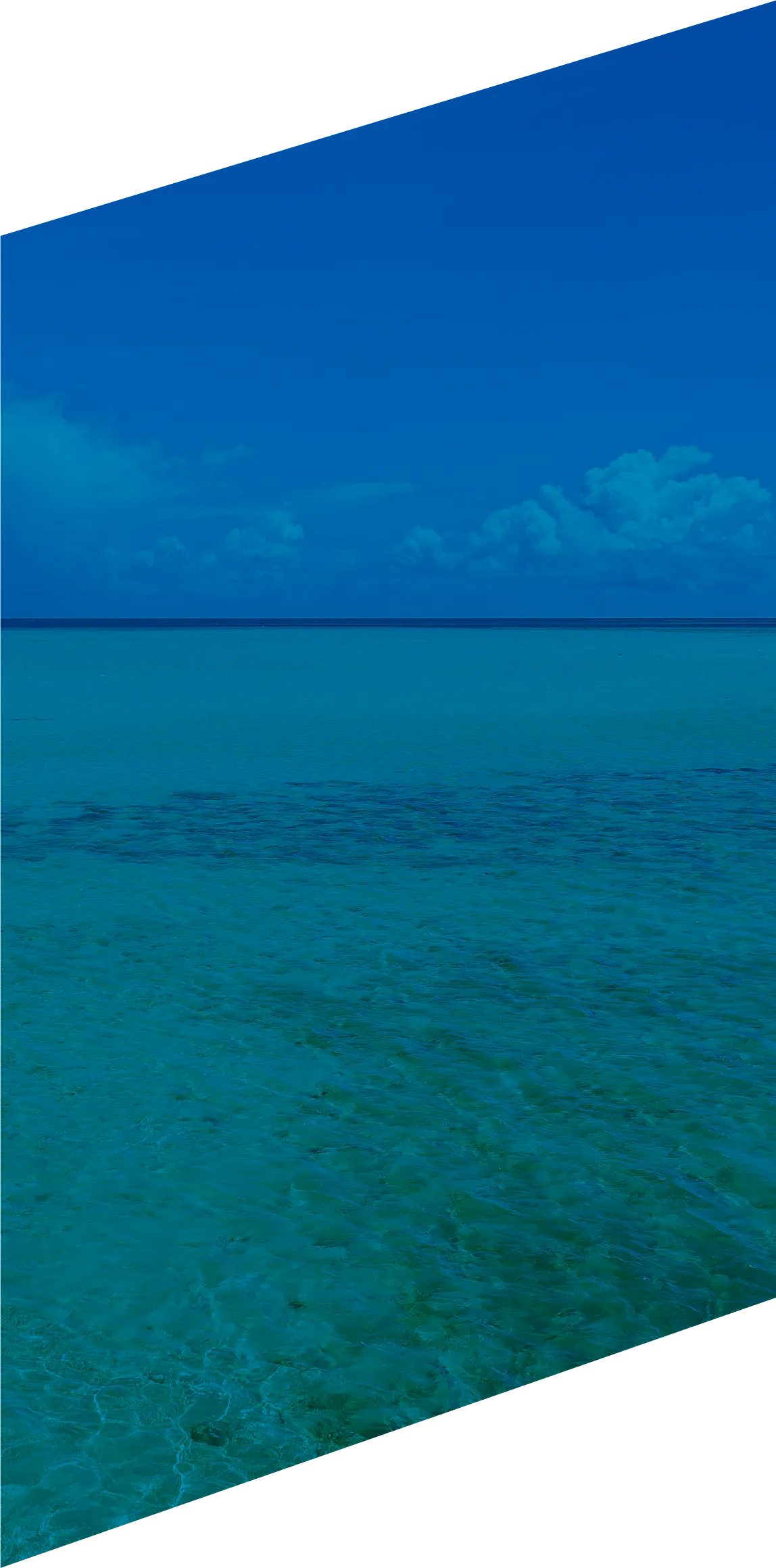 背景