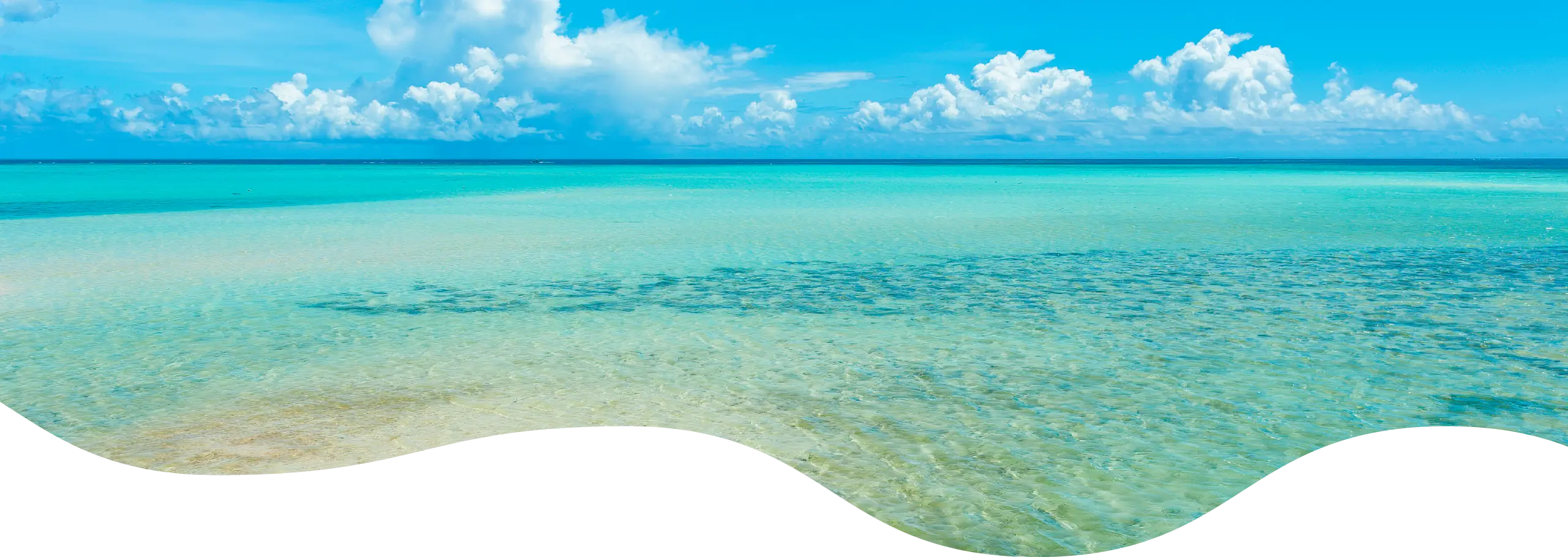 背景