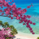 レンタカーでしか行けない宮古島の秘境。四季で変わる「幻の絶景」ドライブコース