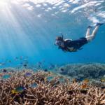 宮古島シュノーケリング穴場7選｜レンタカーで行ける安全な秘密スポットと注意点