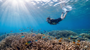 宮古島シュノーケリング穴場7選｜レンタカーで行ける安全な秘密スポットと注意点